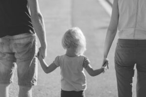 interés menor sistema custodia