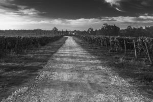 acciones tutela posesoria recobrar o retener posesión