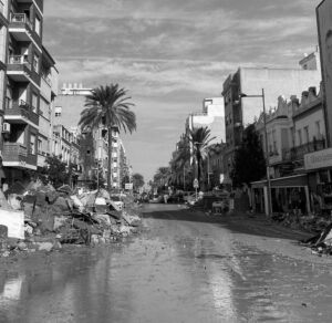 dana medidas paliativas linea avales ico