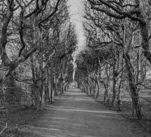 servidumbre padre familia