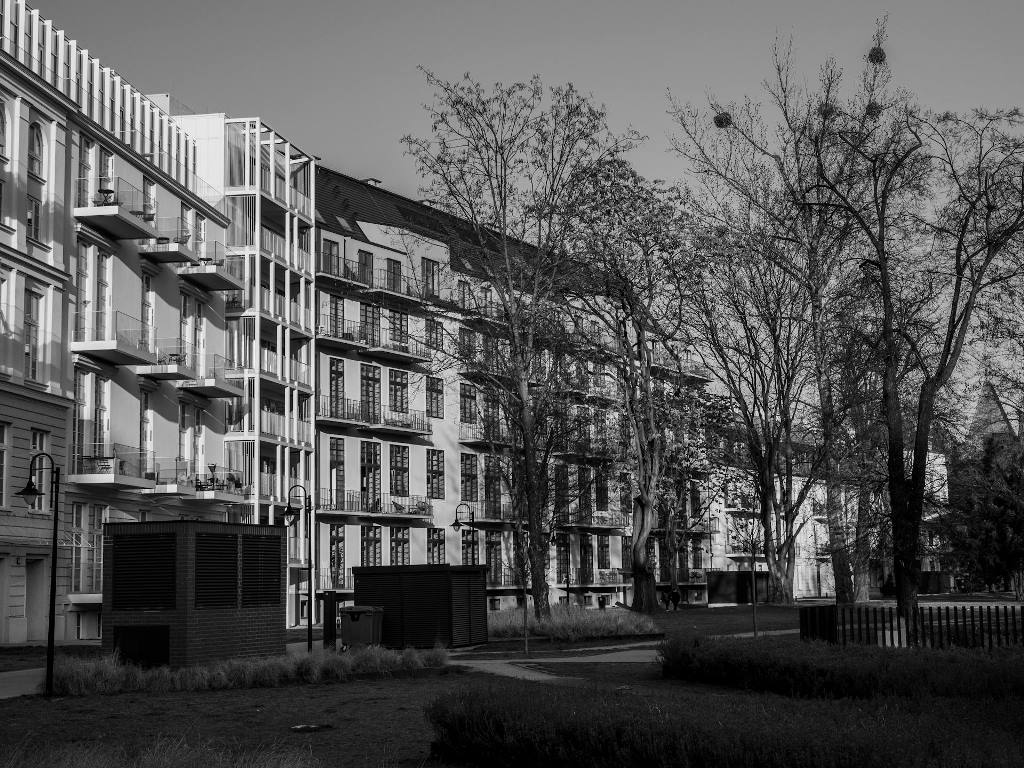 desahucio por precario vivienda objeto ejecución hipotecaria