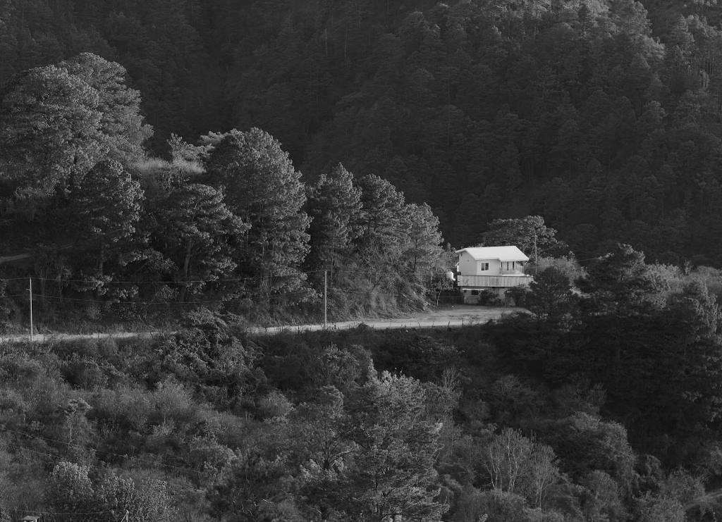 accesión invertida superficies solo cedit