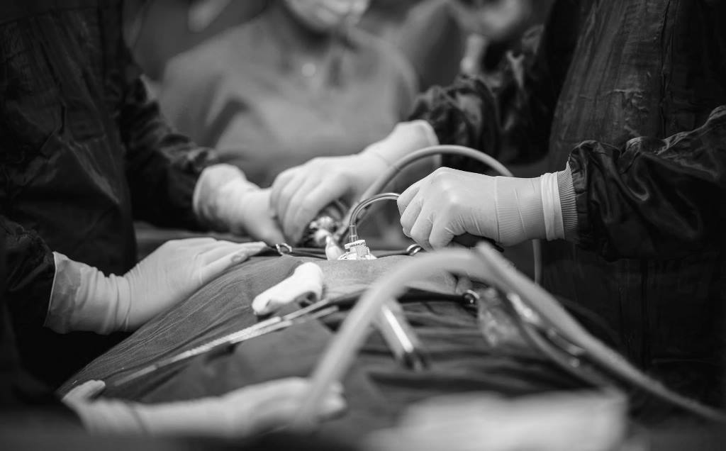 bandas gástricas responsabilidad médica cobertura aseguradora